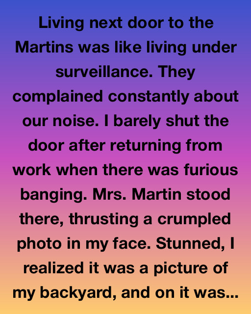 The Enigmatic Neighbors: A Tale of Unexpected Friendship