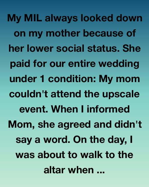 My Mother Wasn’t Invited To My Wedding — But She Showed Up In A Way That Changed Everything