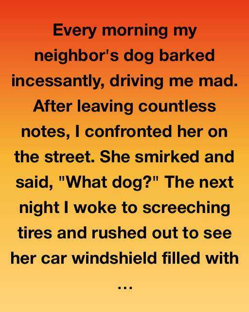 The Mysterious Midnight Barking