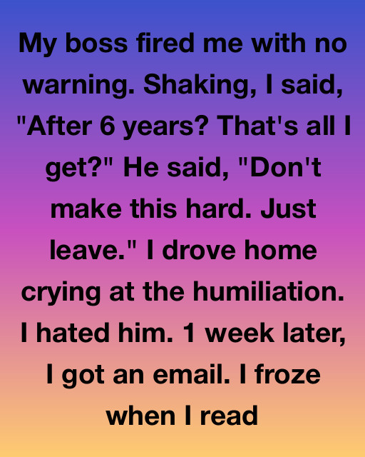 I Hated My Boss For Firing Me After Six Years Of Loyalty, But One Week Later An Email Revealed The Truth I Never Saw Coming