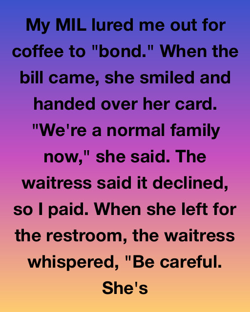 I Saw The Truth Behind My Mother-In-Law’s Expensive Taste And Realized The Heart Can Be Rich Even When The Bank Is Empty