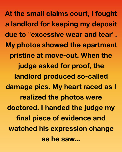 The Case of the Mysterious Apartment Photos