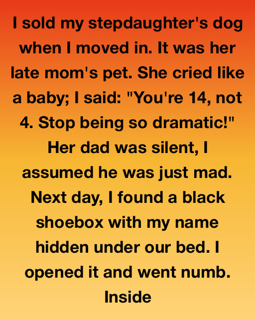 I Thought I Was Teaching My Stepdaughter Responsibility By Selling Her Dog, But Finding A Secret Shoebox Under My Bed Forced Me To Face A Reality I Wasn’t Prepared For