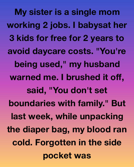 I Babysat My Sister’s Kids For Free For Two Years To Help Her Survive, But A Forgotten Item In A Diaper Bag Forced Me To Face The Truth About Our Family