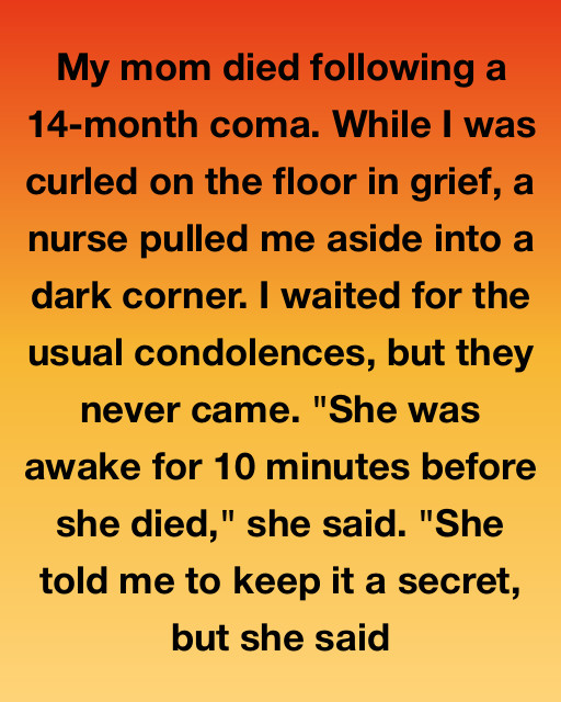 I Saw My Mom Slip Away After Fourteen Months In A Coma, But The Secret A Nurse Shared In The Shadows Changed Everything I Knew About Her Silence