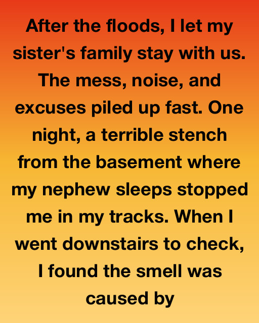 I Let My Sisterโs Family Move In After The Floods And Discovered That The Stench In My Basement Was Hiding A Secret I Never Expected
