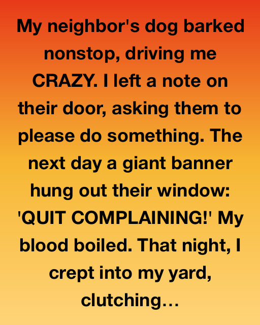 The Neighborly Noise Saga