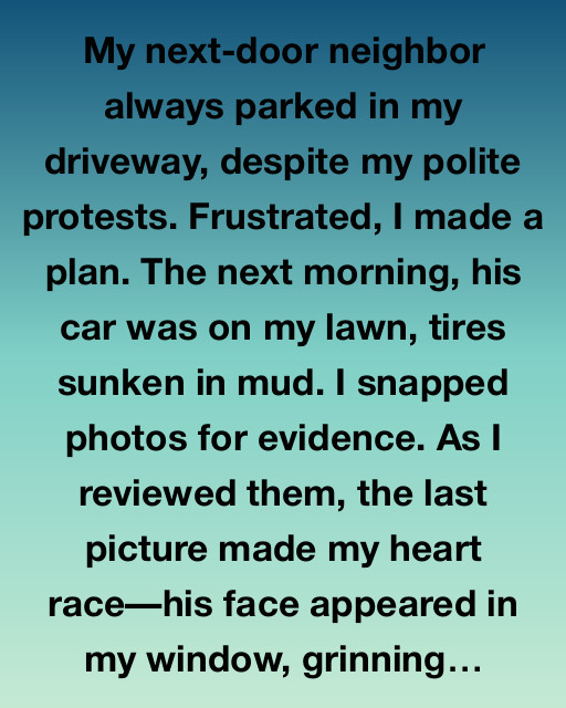 The Unexpected Twist of Driveway Disputes