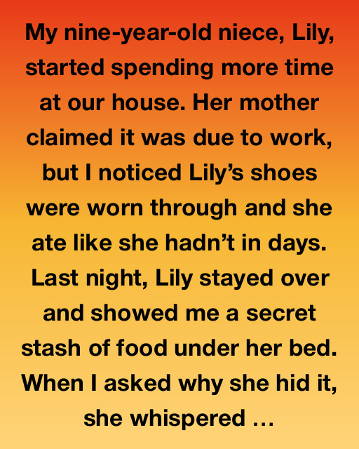 Lily’s Secret: A Story of Love and Hope