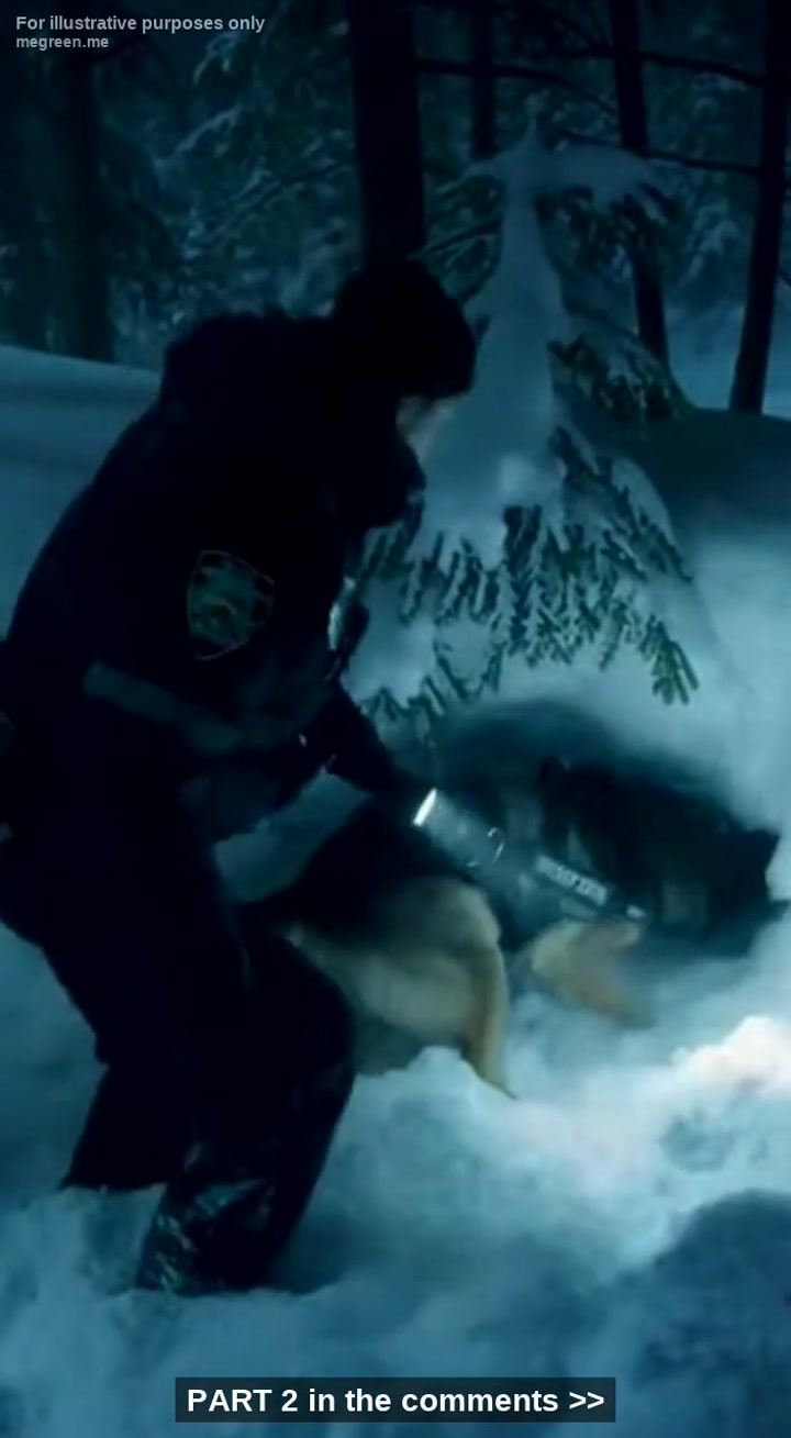 They Said She Was ‘Dead Weight’ So They Left Her To Freeze – The Night My K9 Titan And I Walked Into Hell To Find A Discarded Child