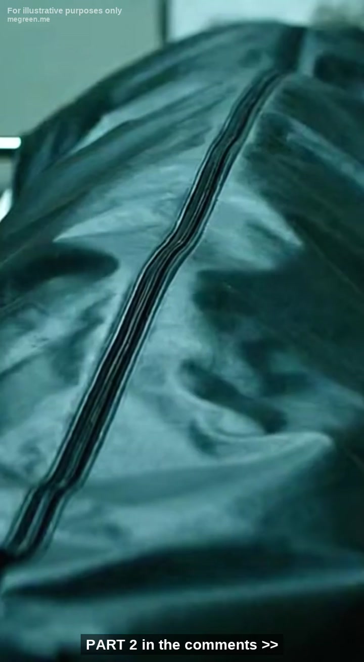 I’Ve Been A K9 Handler For Twelve Years