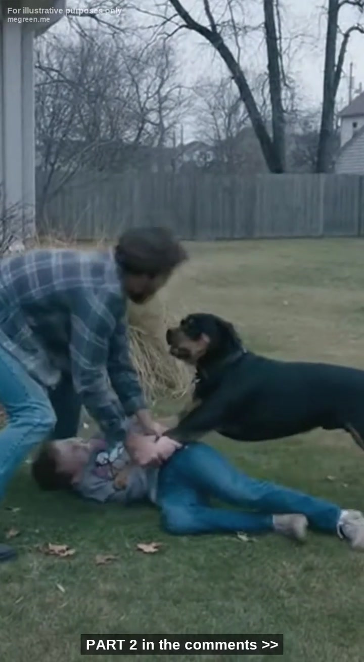 The Sound Of My Son Screaming Is Something I’Ll Never Scrub From My Brain