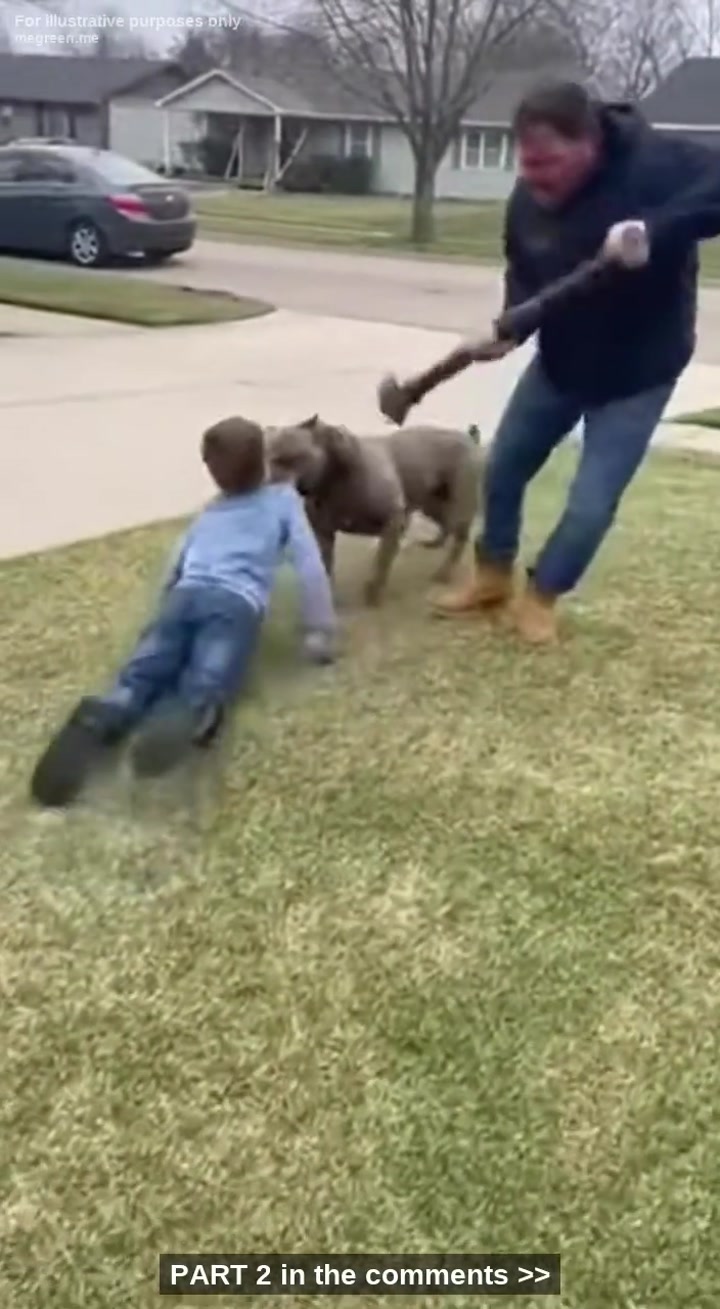 My Neighbors Screamed For Me To Kill My Rescue Dog As He Dragged My Seven-Year-Old Son Across The Yard