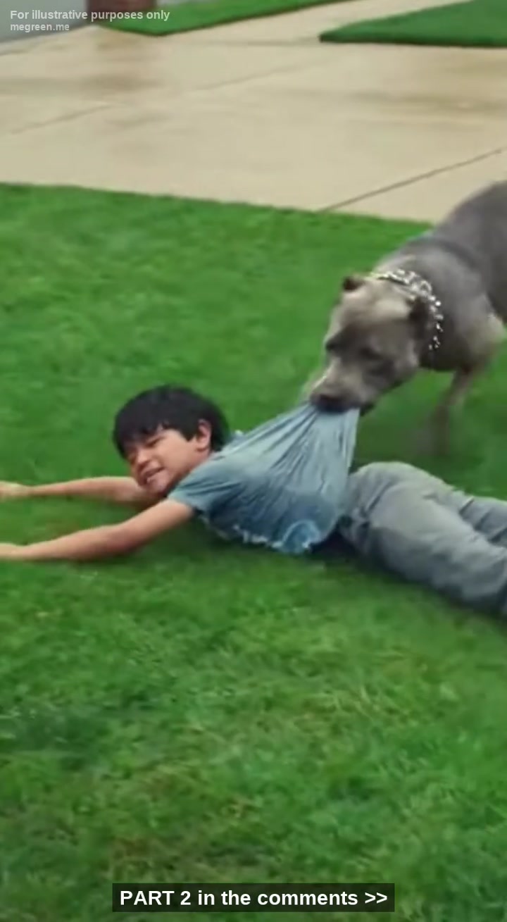 I Was Inches Away From Bludgeoning My Own Rescue Dog To Death With A Rusted Iron Pipe