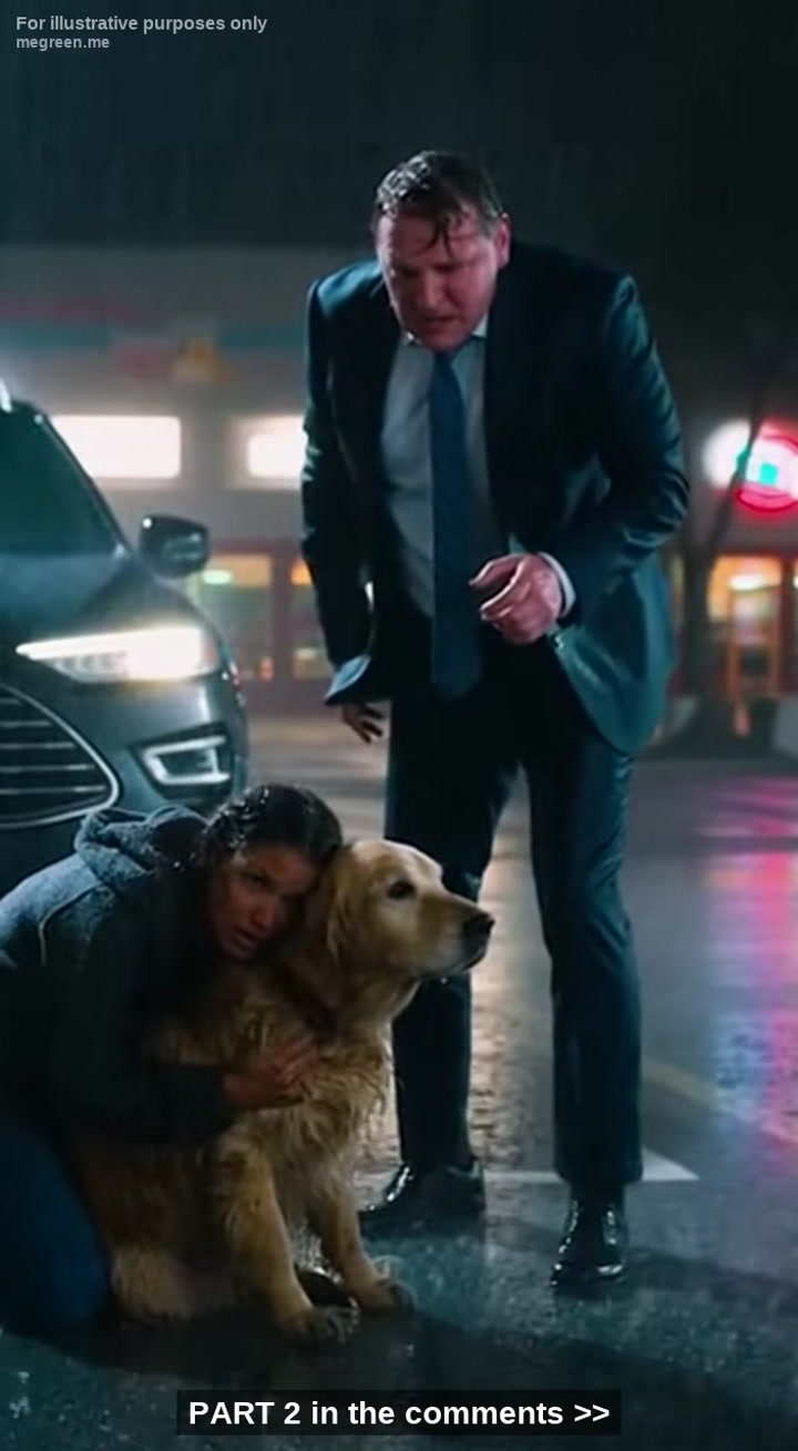 He Shoved Me Into The Mud And Tried To Kick My Trembling Dog, But His Rage Turned To Pure Terror When He Saw Who Was Standing Behind Him