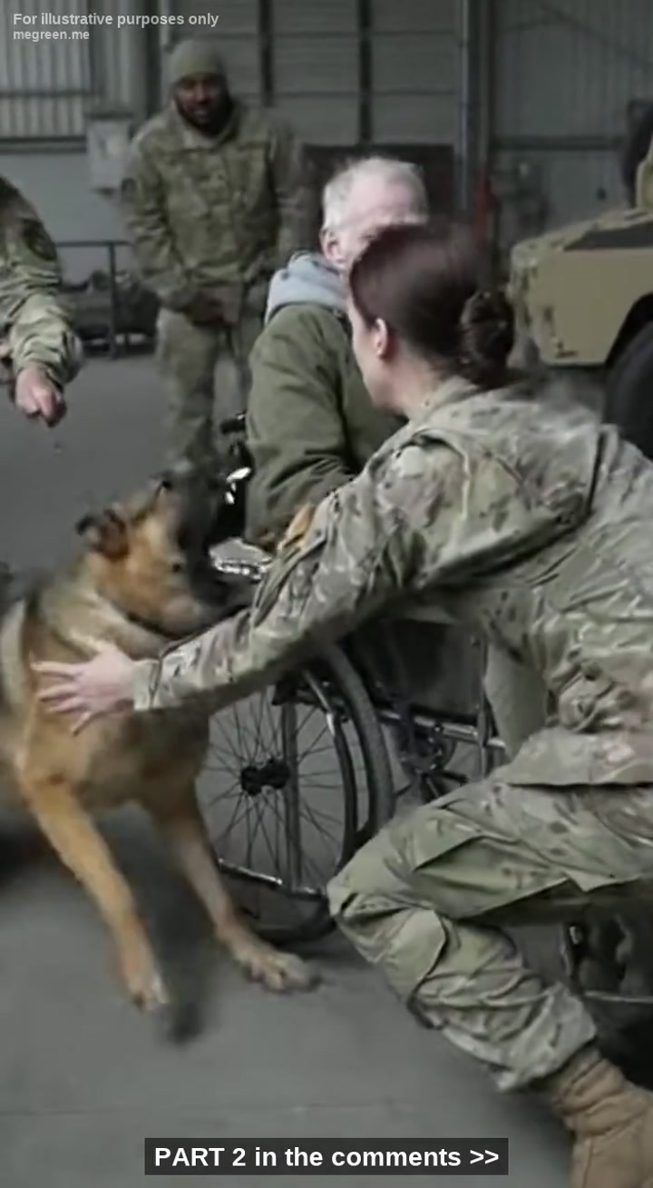 A Wild German Shepherd Went Berserk – Crazy Barking And Lunging At A Paralyzed Veteran