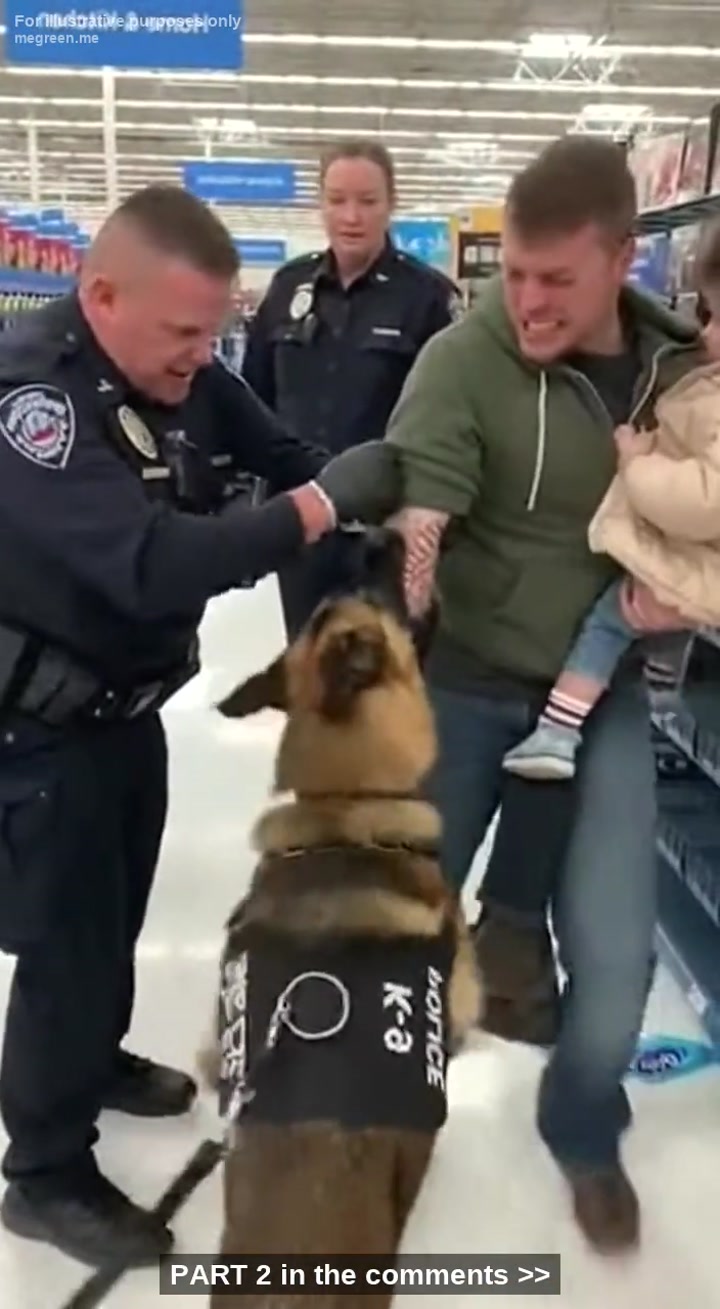 K-9 German Shepherd Locked Onto A Man Holding A Toddler Inside Walmart – 5 Officers Prevent A Deadly Mauling