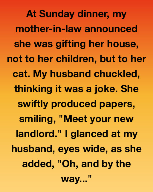 The Cat Who Became A Landlord