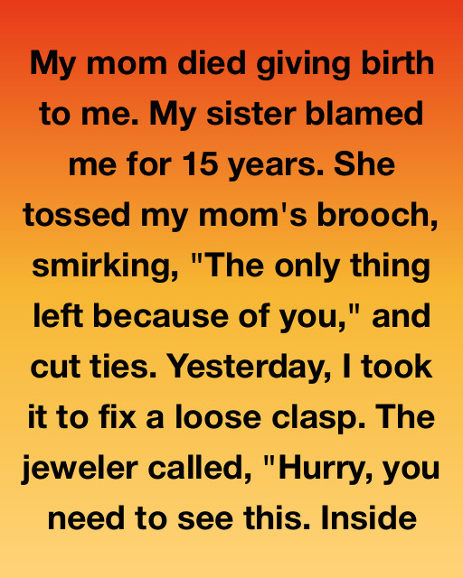 My Sister Blamed Me For My Mother’s Death For Fifteen Years, But A Broken Brooch Revealed A Secret That Changed Everything I Knew About My Family