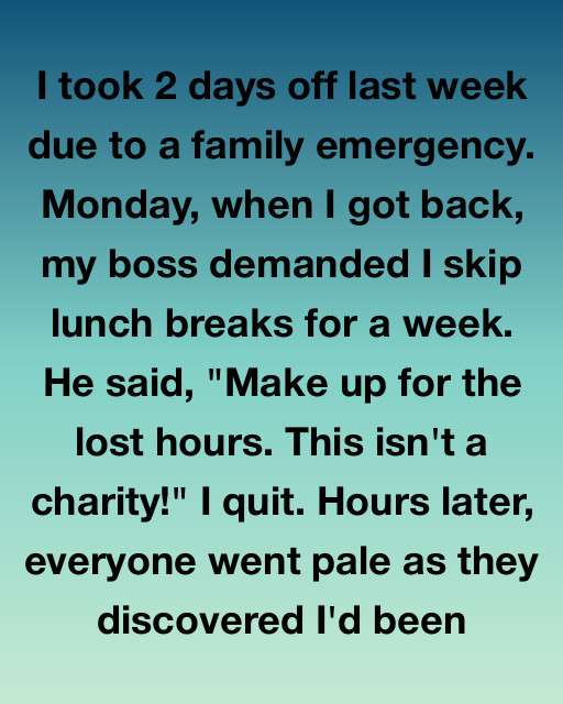 I Quit After My Boss Demanded I Skip Lunch To Make Up For A Family Emergency, Only For Him To Realize Too Late What I’d Been Doing For Free