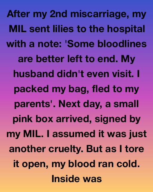 The Pink Box That Changed My Life