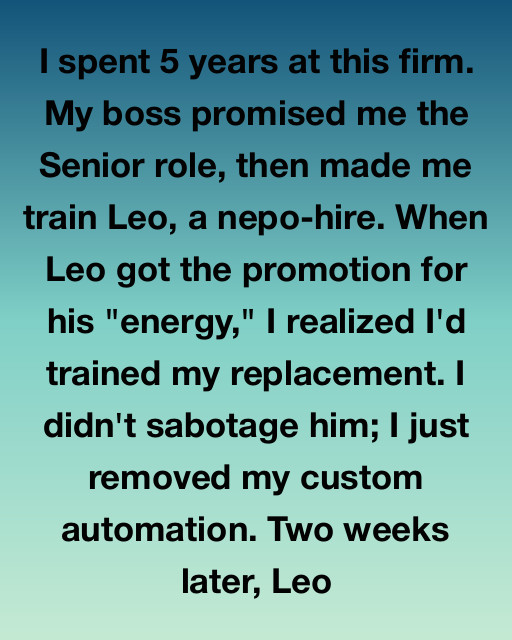 I Spent Five Years Building This Firm Just To Be Replaced By A Nepo-Hire, But My Exit Taught Them Exactly What It Costs To Ignore The Person Who Keeps The Lights On