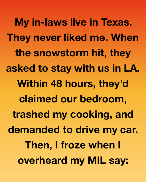 When The Storm Followed Them Home