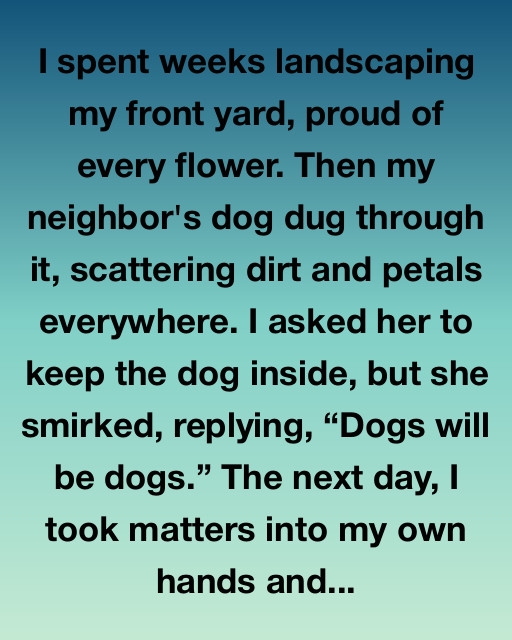 The Garden Of Second Chances