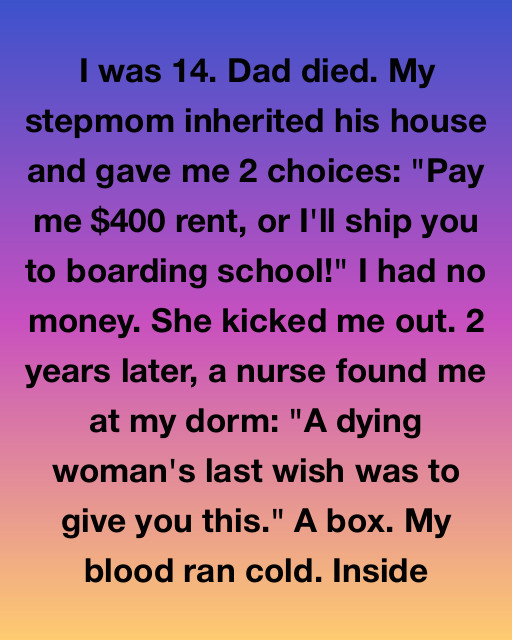 I Was Forced Out Of My Home At Fourteen By A Cruel Stepmom, But A Mysterious Box From A Dying Woman Revealed The Truth About My Fatherโs Final Gift