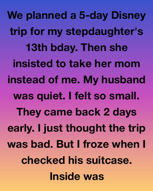 I Planned A Five Day Disney Trip For My Stepdaughterโs Birthday Only To Be Replaced By Her Mother, But The Contents Of My Husbandโs Suitcase Revealed The Truth