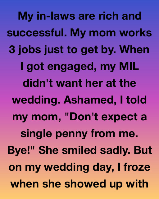 I Chose My Wealthy In-Laws Over My Hardworking Mom, But Her Wedding Day Surprise Taught Me What True Success Really Looks Like