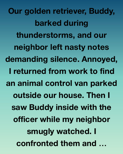 Buddy’s Thunderstorm Adventure