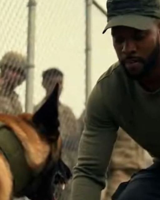 I Saved A Sergeant From His Aggressive K9. Then I Checked The Dog’s Collar.