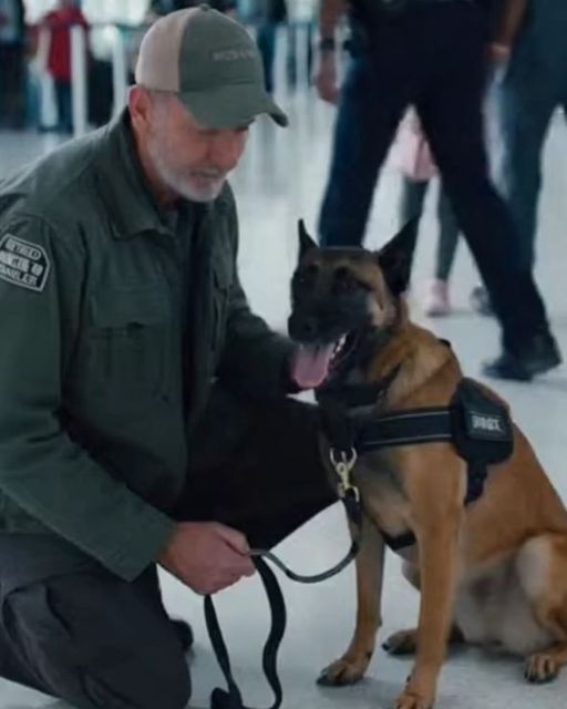 They Tried To Kick My ‘aggressive’ K-9 Off The Flight. Then Security Saw What Was Stitched Into The Little Girl’s Coat.