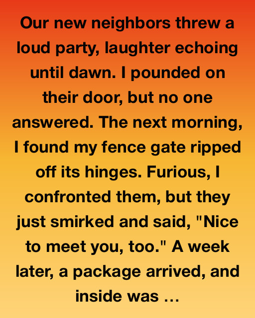 The Mysterious Package and the Unexpected Friendship