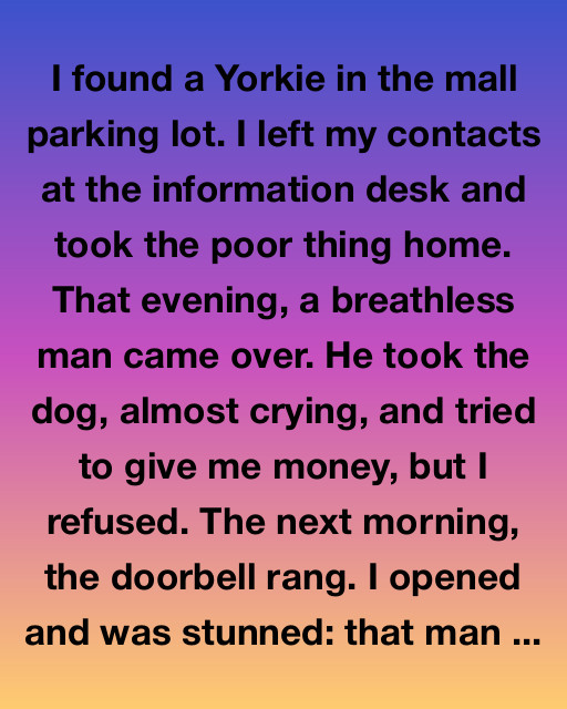 The Man Who Came Back The Next Morning