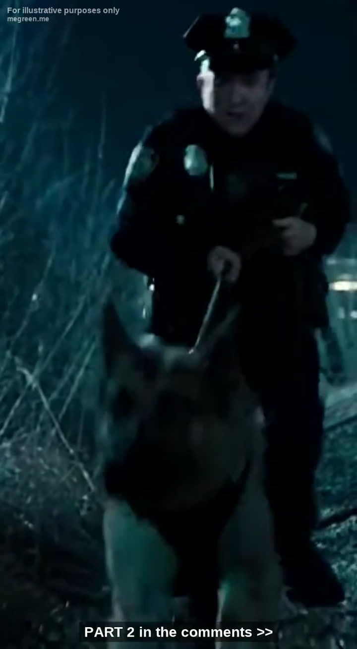 I Thought My K9 Partner Was Malfunctioning When He Broke Protocol And Dragged Me Toward The Forbidden Sector Of The Railway