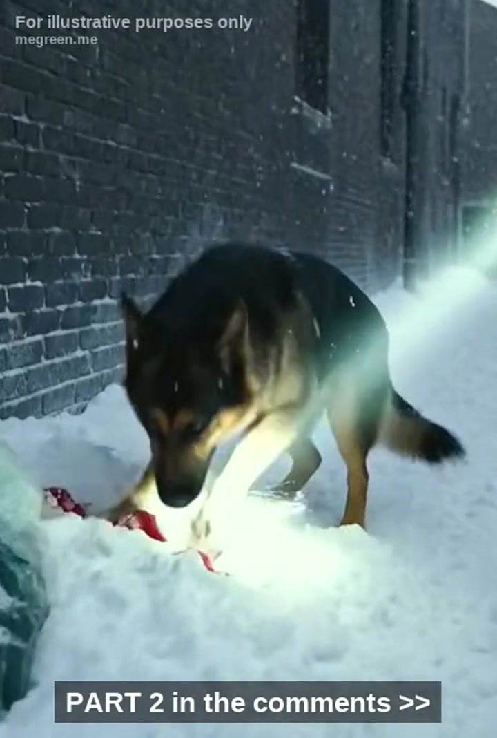 It Was -15ยฐF And The Snow Was Burying Everything In Buffalo Faster Than The Plows Could Clear It