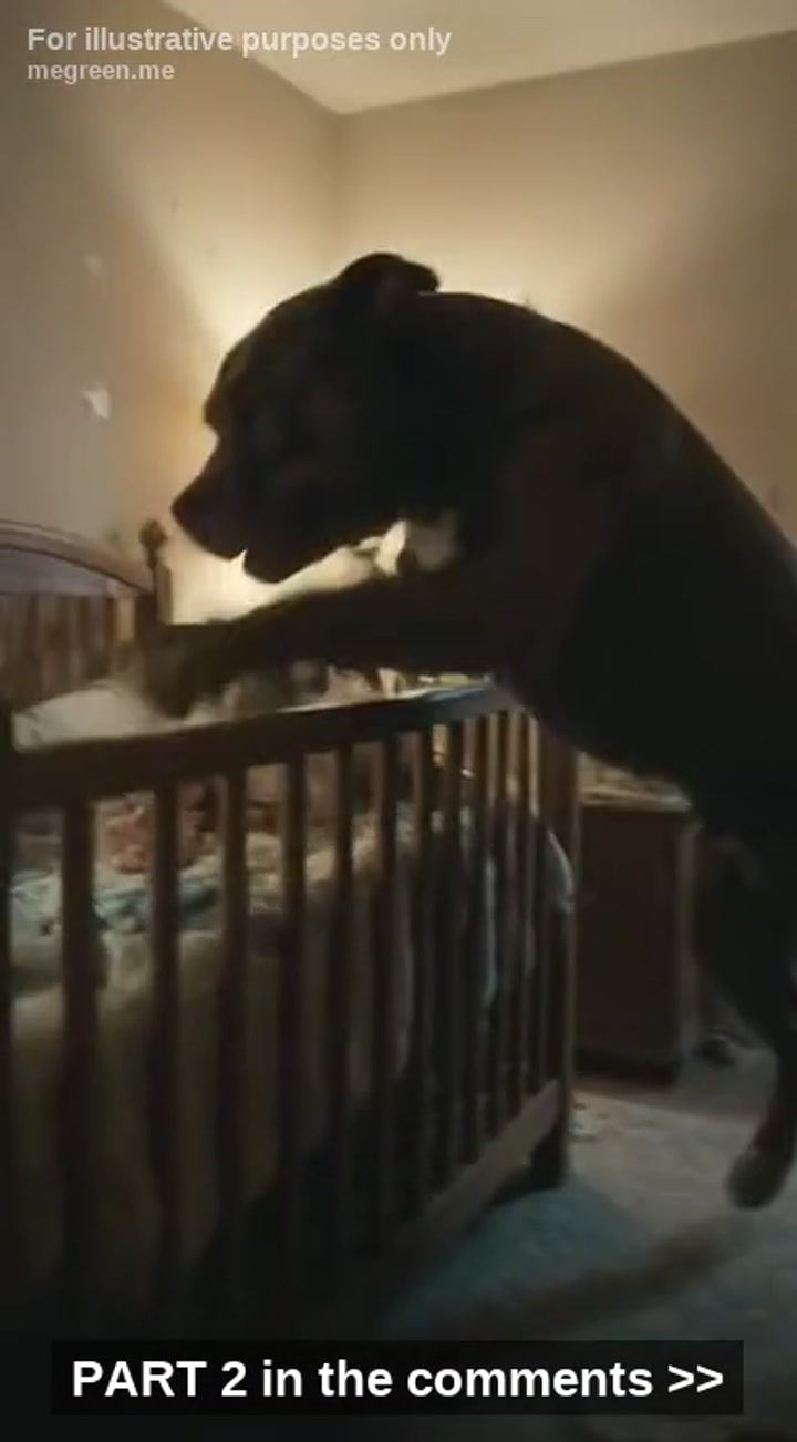 I Banished My Loyal Dog To The Freezing Backyard Because He Wouldn’T Stop Screaming At The Blank Wall In My Newborn’S Nursery