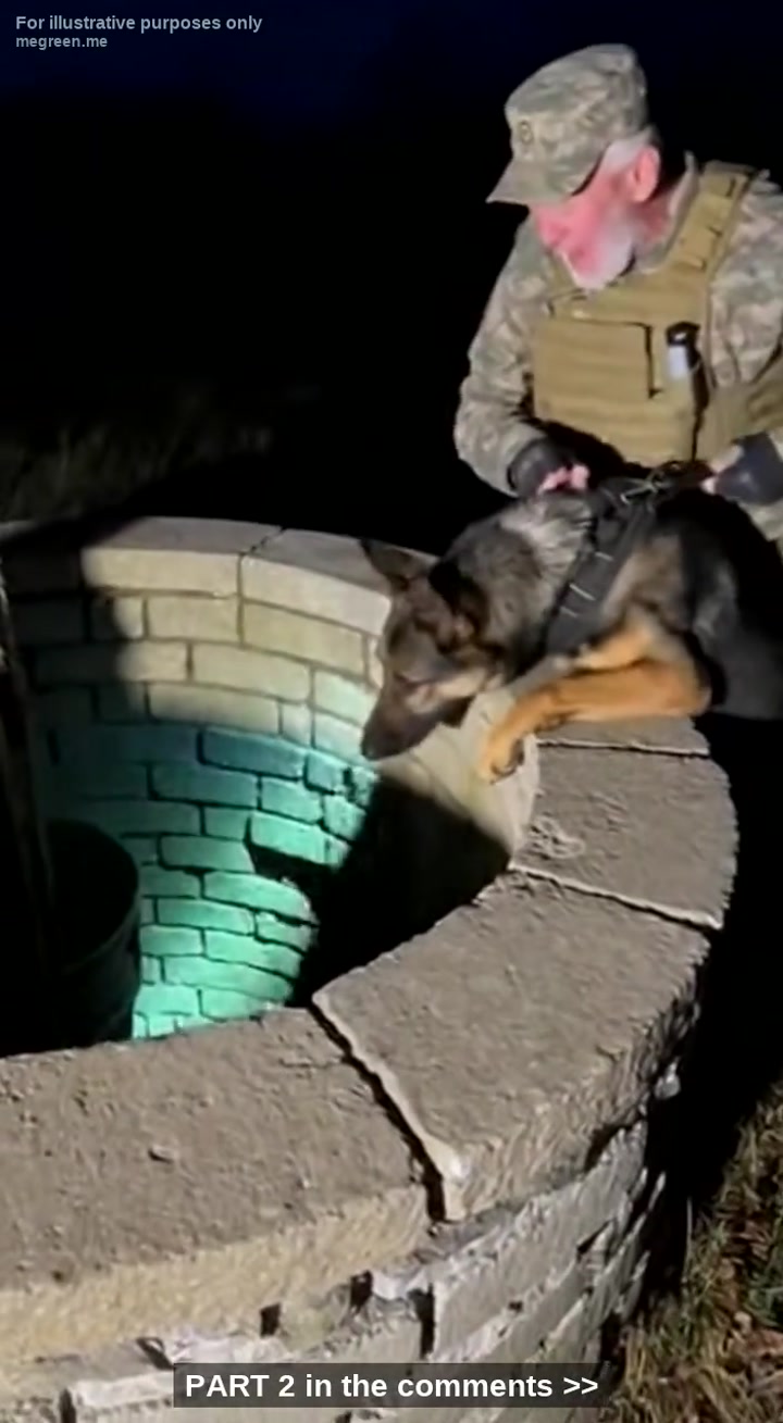 Every Night At 12:00Am, My German Shepherd Went Nuts Bolted Into The Yard