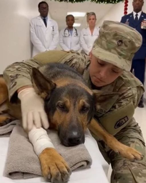 The Ghost He Waited For