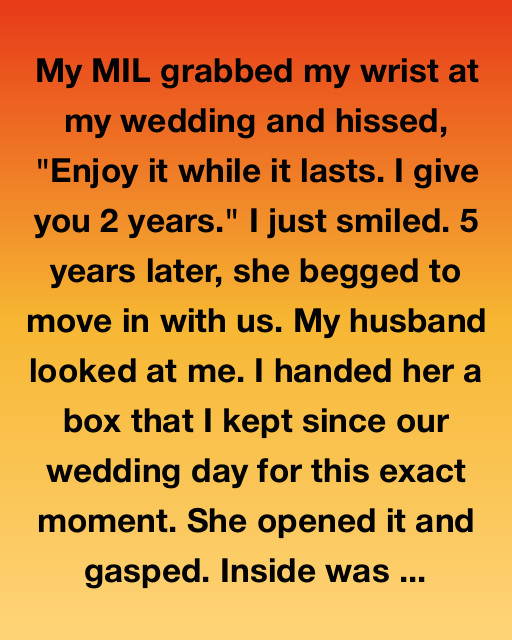 The Box I Saved Since My Wedding Day