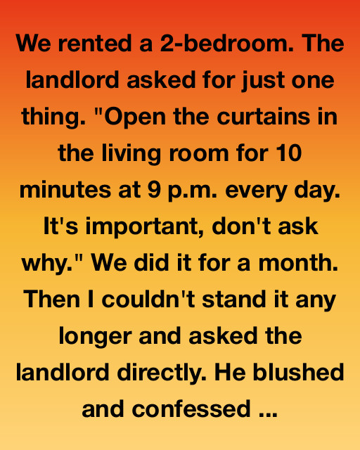 The Secret In The Living Room Curtains