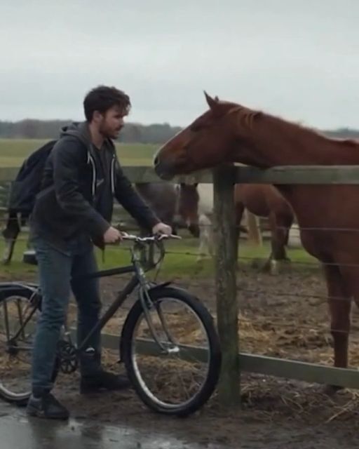 I Recognized My Grandpa’s Horse At A Glance – Then I Saw What The Owner Was Doing With Him