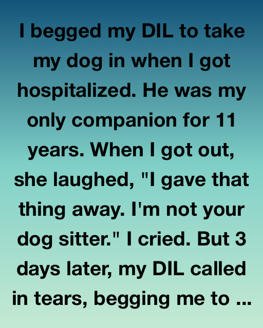 The Dog Who Knew Too Much