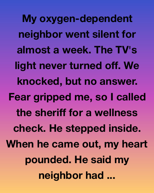 The Silent Light In The Window