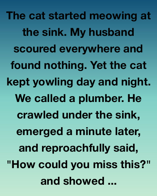 The Mystery Of The Silver Lining