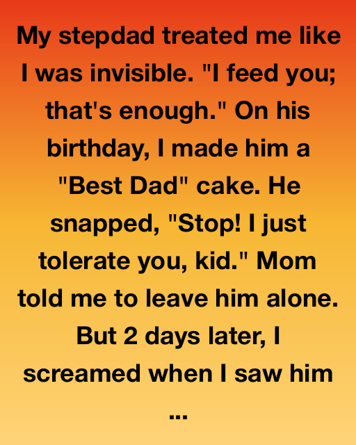 The Weight Of A Quiet Heart