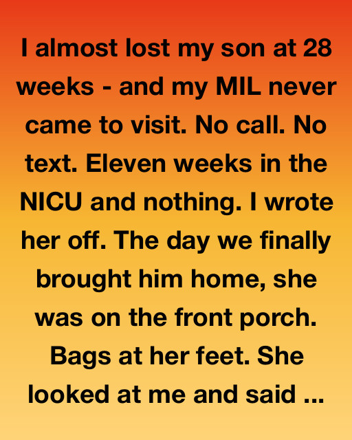 The Silent Guardian Of The Porch