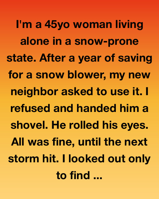 The Cold Truth Of The Neighborly Shovel
